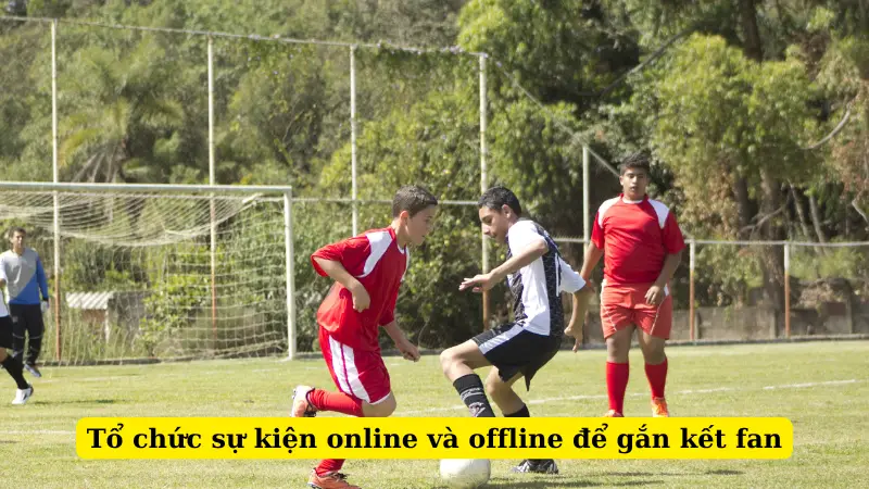 Tổ chức sự kiện online và offline để gắn kết fan